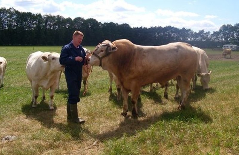 Boerderij & vleesverkoop