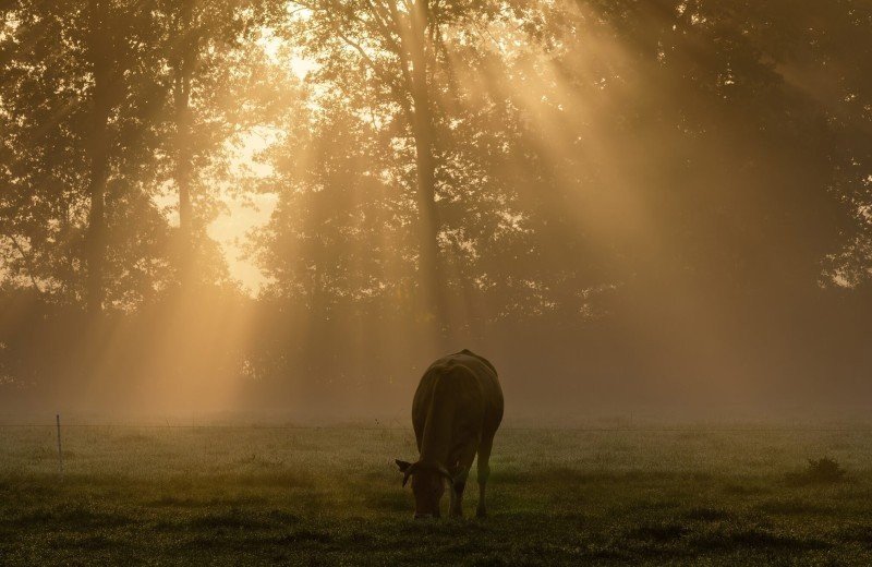 Minicamping Het Ven voortaan ook in de winter geopend!
