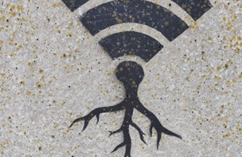 Gratis wifi op de hele camping